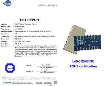 El m&oacute;dulo NiceRF LoRa LoRa1268F30 pas&oacute; la certificaci&oacute;n RoHS