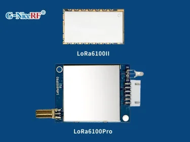 Diferencia entre el m&oacute;dulo Uart LoRa LoRa6100II y LoRa6100Pro